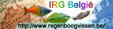 IRG Belgi� web banner